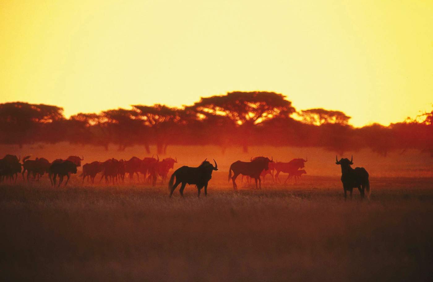Motorradreisen Tansania, Rider, Schotterstraße  
Motorcycle, Berge  
Motorcycle, See  
Rider, Pass  
Rider, Yurt  
Group, Markt  
Rider, Dorf
